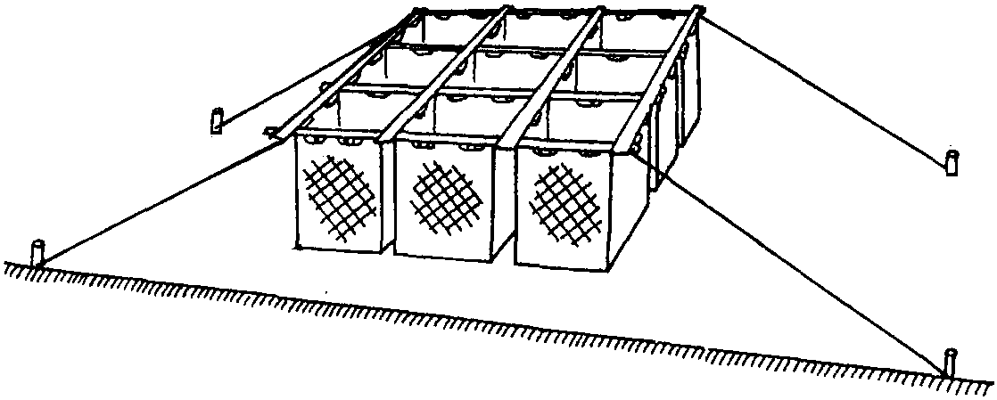 二、淺海內(nèi)灣型網(wǎng)箱